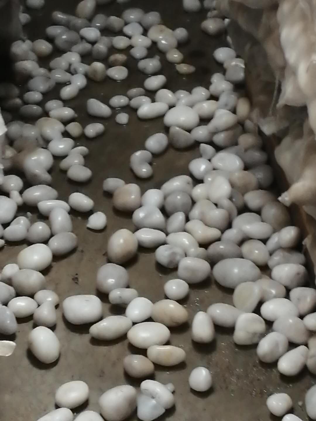 白色機制石 雪花白 精品雨花石,白色精品雨花石 河南